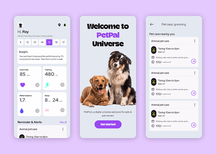 PetPal - A universe for you & your pets (website + app)