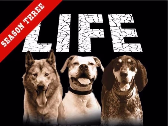 Series/Podcast Management Platform