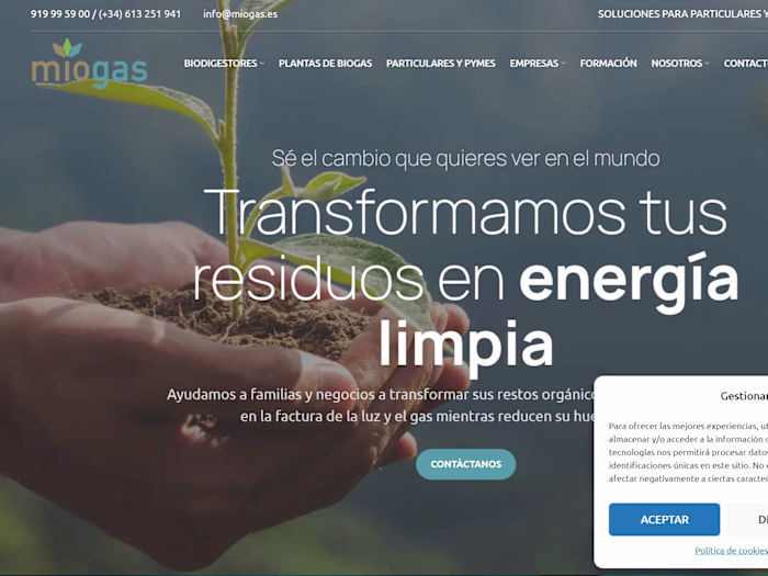 Digital consultancy + Web development + SEO