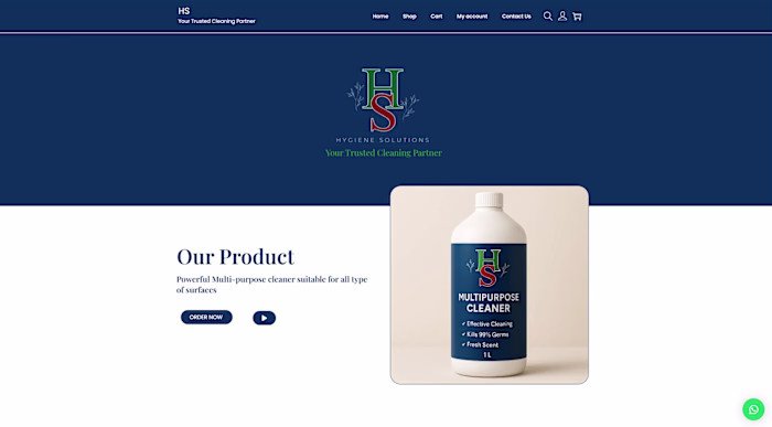 Hygiene Solution- custom ecommerce store
