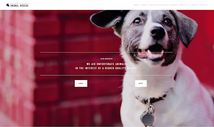 Sean Casey Animal Rescue