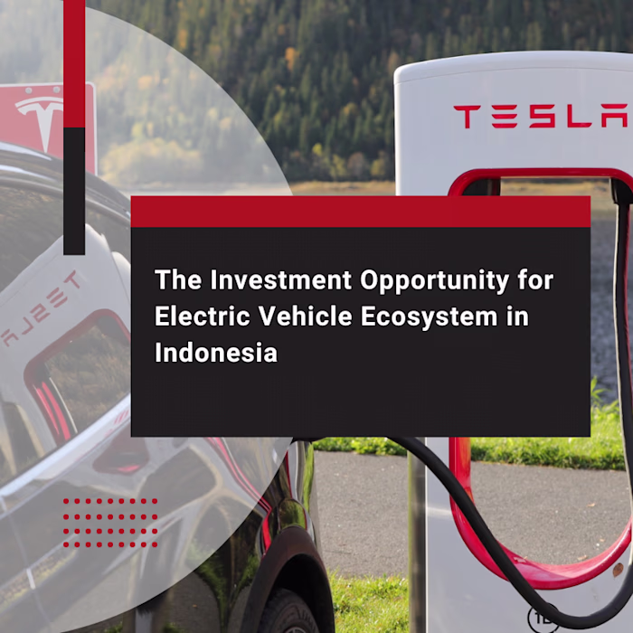 The Investment Opportunity for an Electric Vehicle Ecosystem