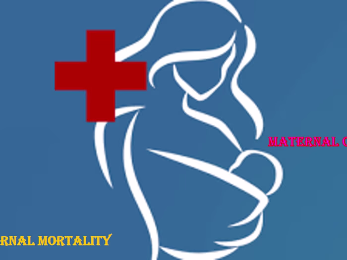 Article about Maternal care and Maternal mortality