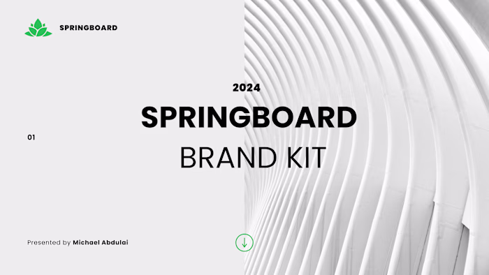 SPRINGBOARD BRAND IDENTITY
