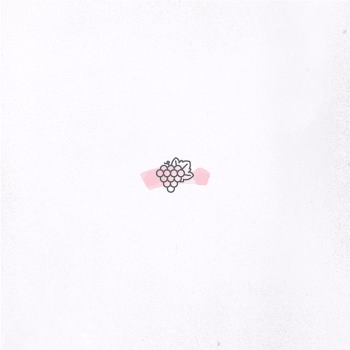 Vineyard wine fictional brand identity design fictional concept.