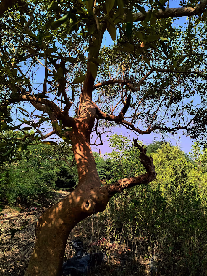 Worked on adjusting the brightness