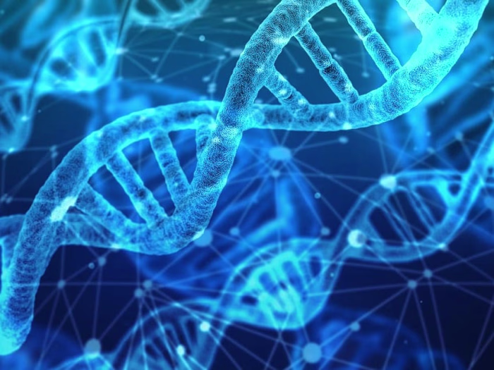 Case Study: Unraveling the Mysteries of DNA Replication