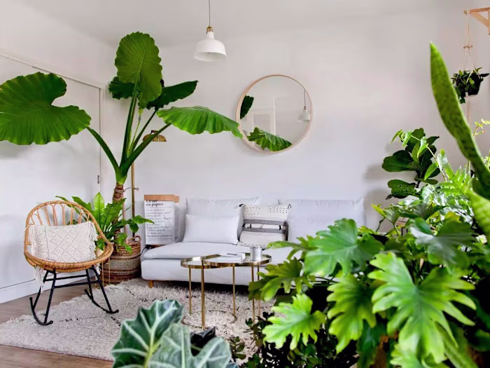 Arborescence e-commerce website