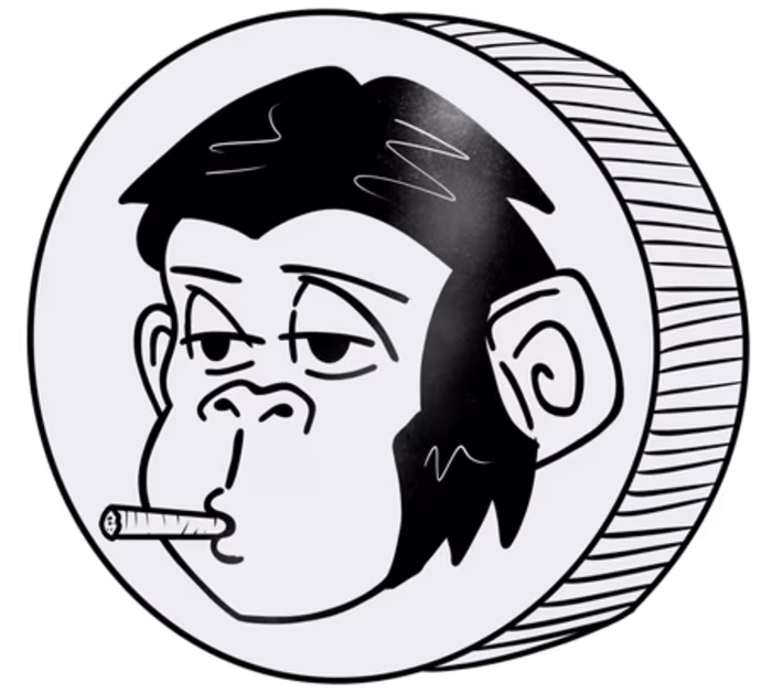 Web Platform for NFT project