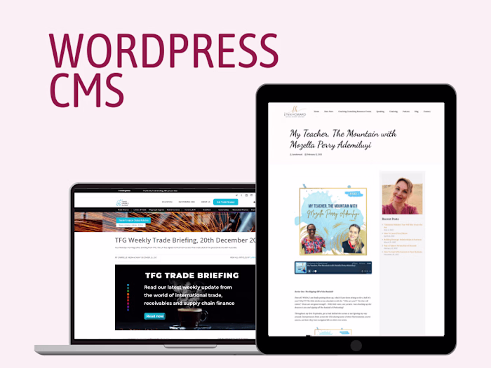 WordPress Website Management