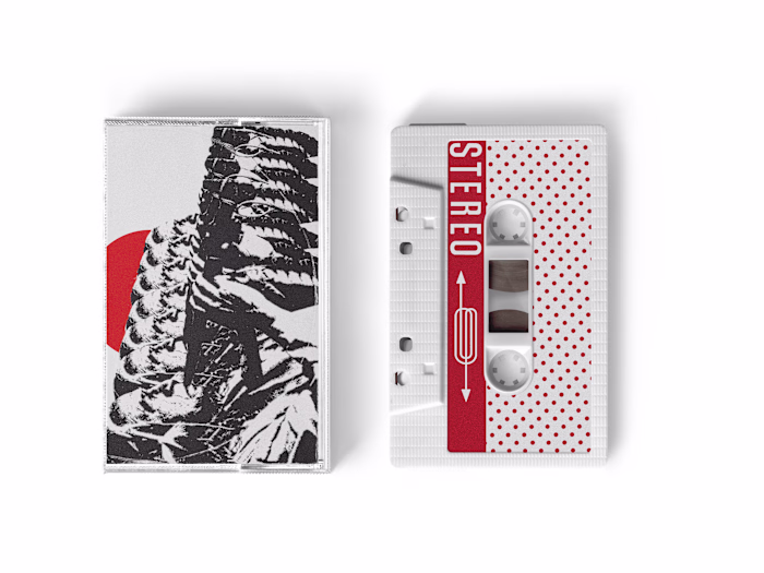 Album Cover Design and Artist related Visuals 
