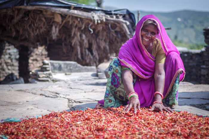 Content Writing + Designing for NGO