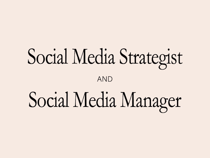 Social Media Strategy | Portfolio + Results