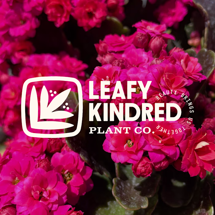 Leafy Kindred Plant Co. Identity