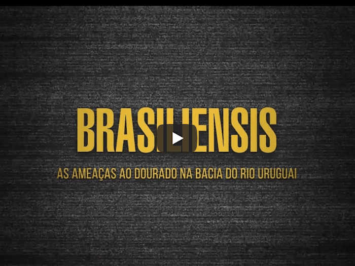 Brasiliensis: Social-environmental documentary