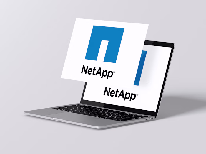 Enhancing Internal Connectivity and Engagement: NetApp