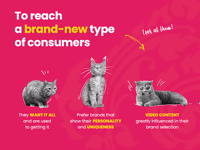 Pitch Deck for Wildcats