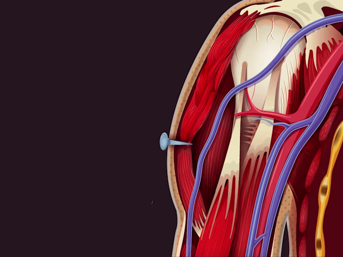 Medical Illustration Library