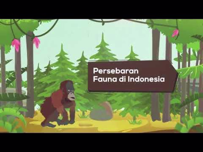 Showreel 2023 - YouTube