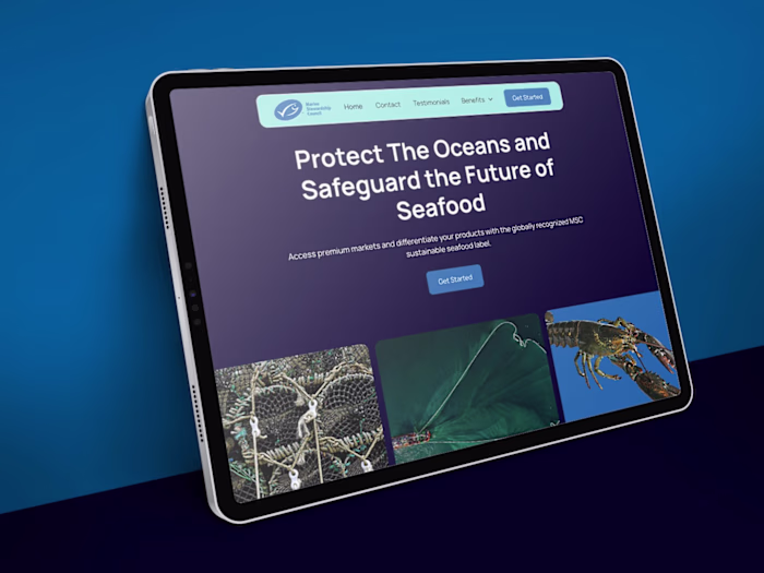 Landing Page Redesign for International NGO