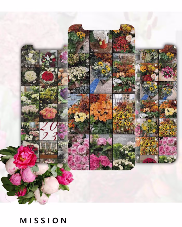 Social media - Content Creator