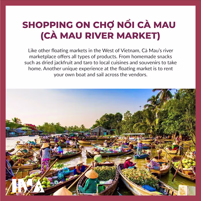 Vietnamese Travel Diary 