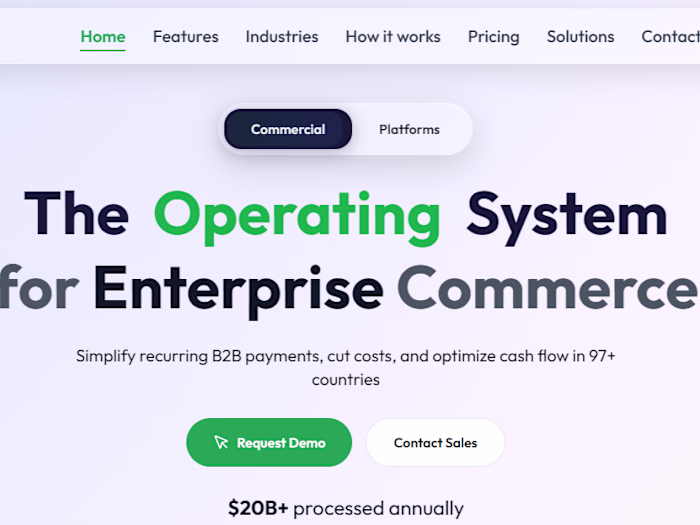 Red Giraffe: Premium Enterprise B2B Payments Web Experience