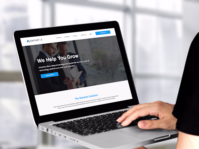 Entartes | A Hubspot Revamp