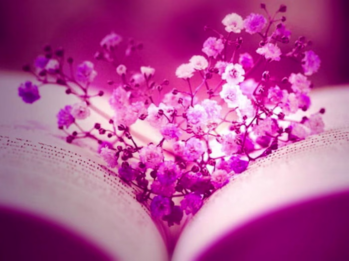 Professional Translation Services