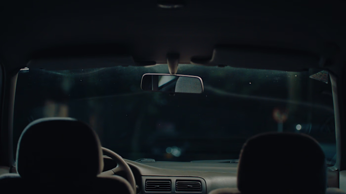 Piel Camaleón - Gelato