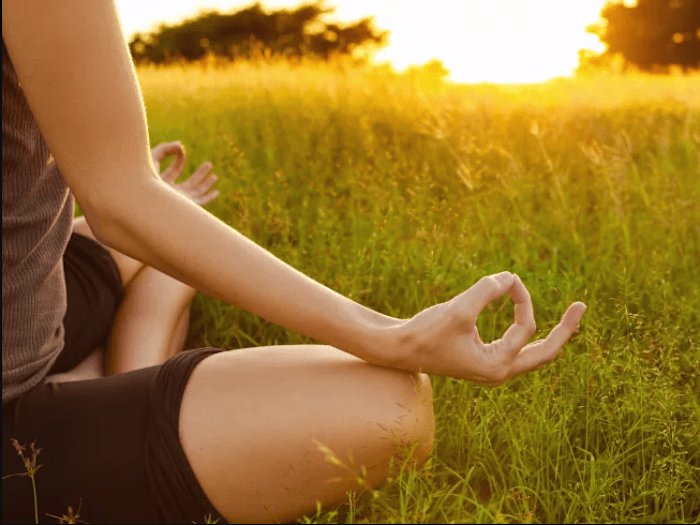 The Holistic Highway