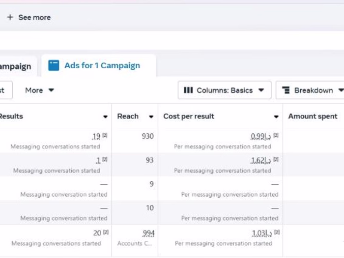 Facebook ads campaign 