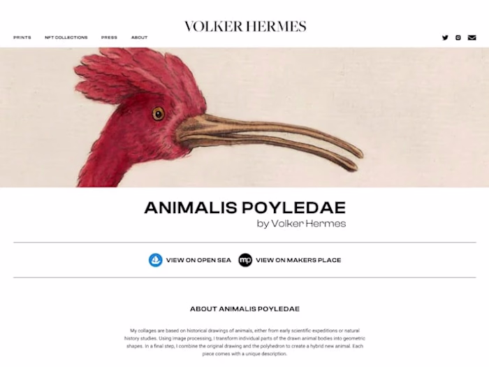Portfolio Design in Webflow