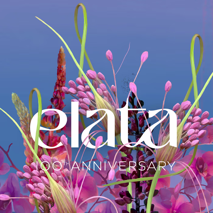 Elata 1923 - motion design project
