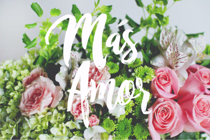 Branding | Photography | Editing Flower Catalog