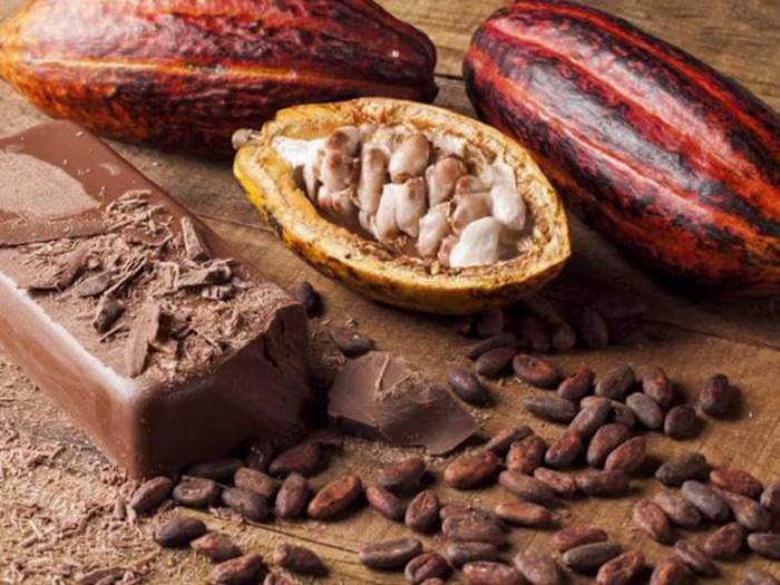 Chocolate-WCC STEM Scholars Newsletter July 2023