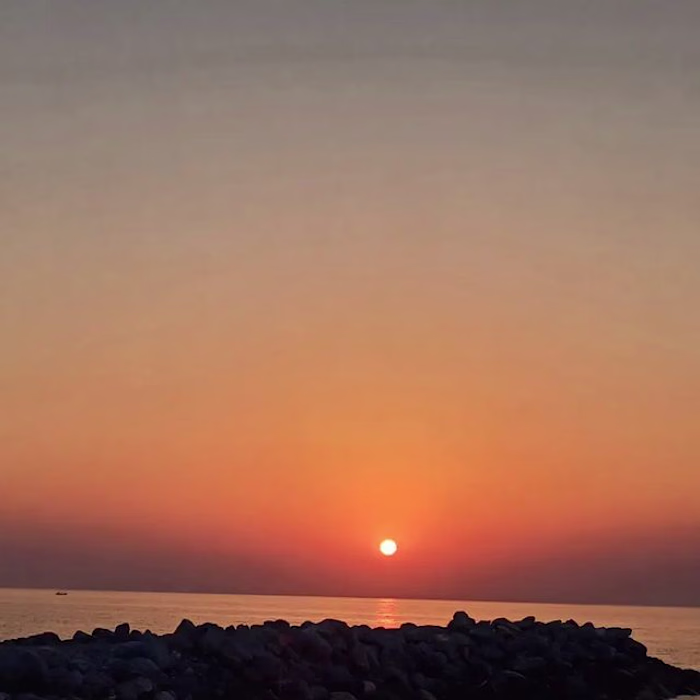 #jojomohmad_14 on Instagram: ”😍💛💛”