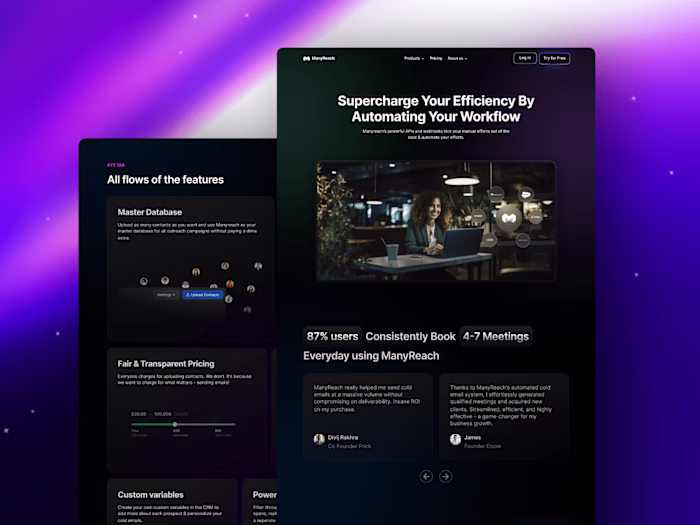 Manyreach website design - High conversion rate 