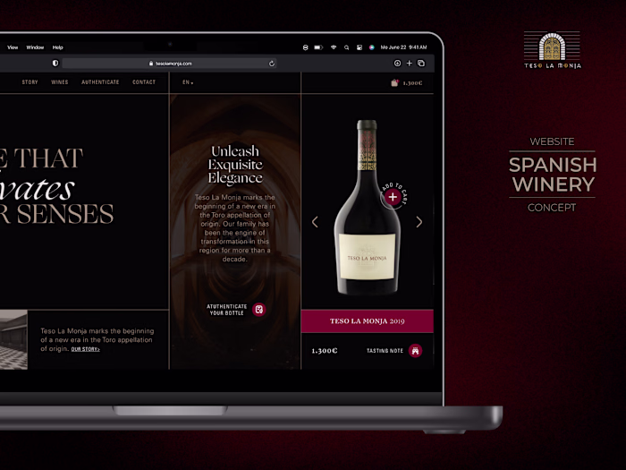 Teso la Monja - website concept