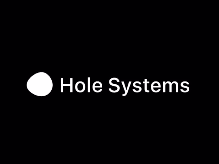 Hole Systems: Personalised AI Companion