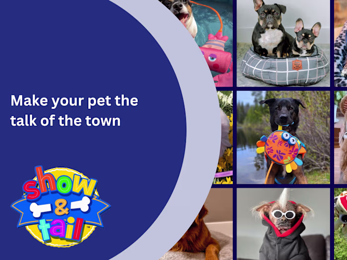 Social Media Management and Content Creation