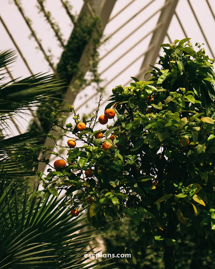 The 10 Best Things To Do in Valencia: Travel Blog to Inspire