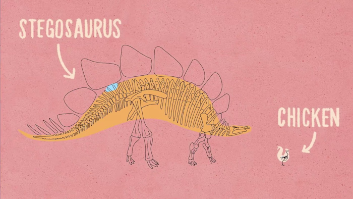 The myth of nature’s second brain, exposed [Advertiser content …