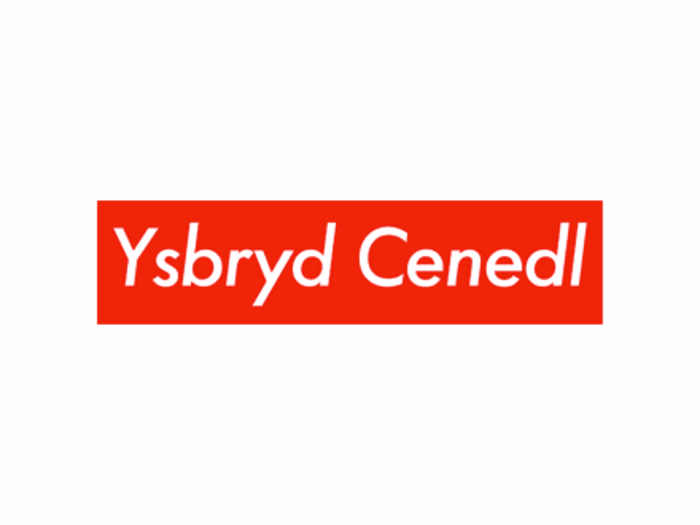 Ysbryd Cenedl - The Nation's Spirit