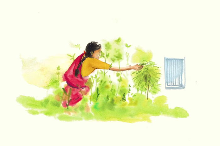 Karivepaku (Curry leaves): A treasure to the Indian kitchen