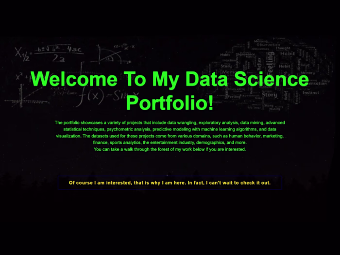 Portfolio Website