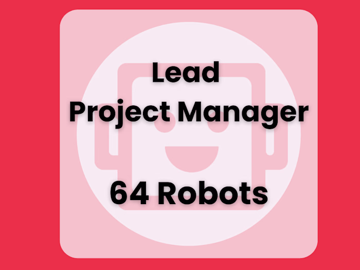 Lead Project Manager