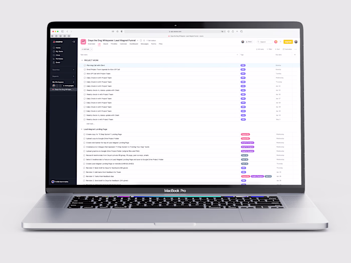 Lead Magnet Funnel Launch