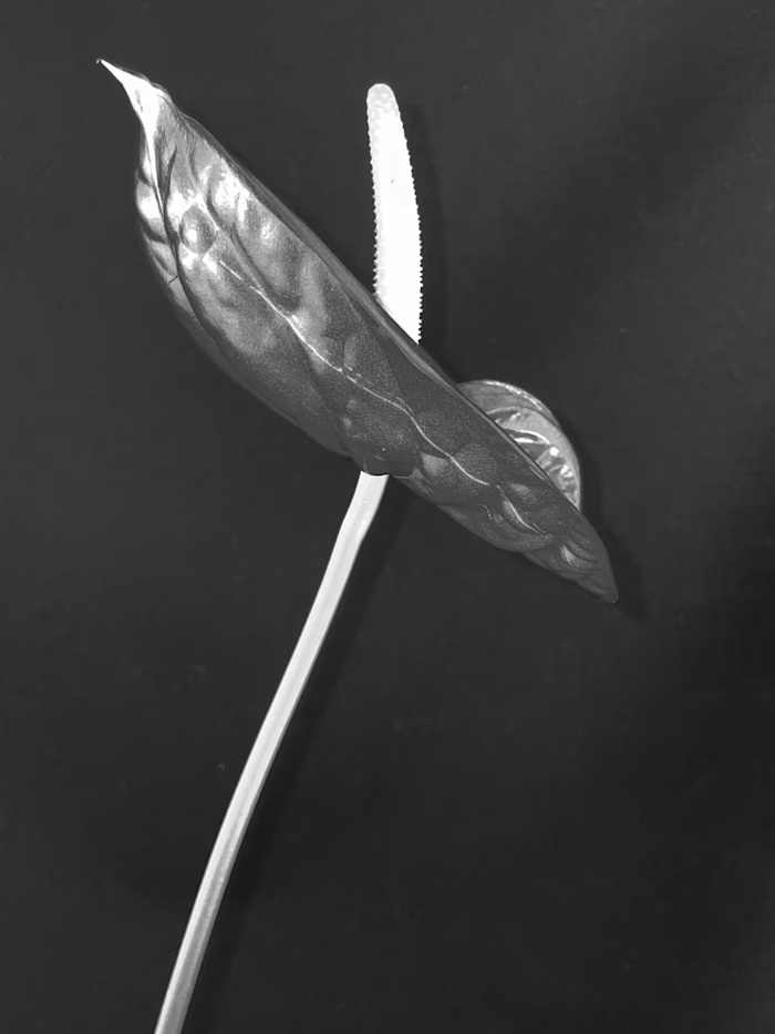 week#1 - bye bye self-sabotage