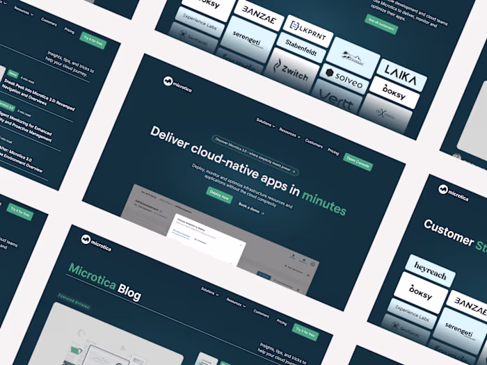 Redesign with over 20 pages for SaaS company